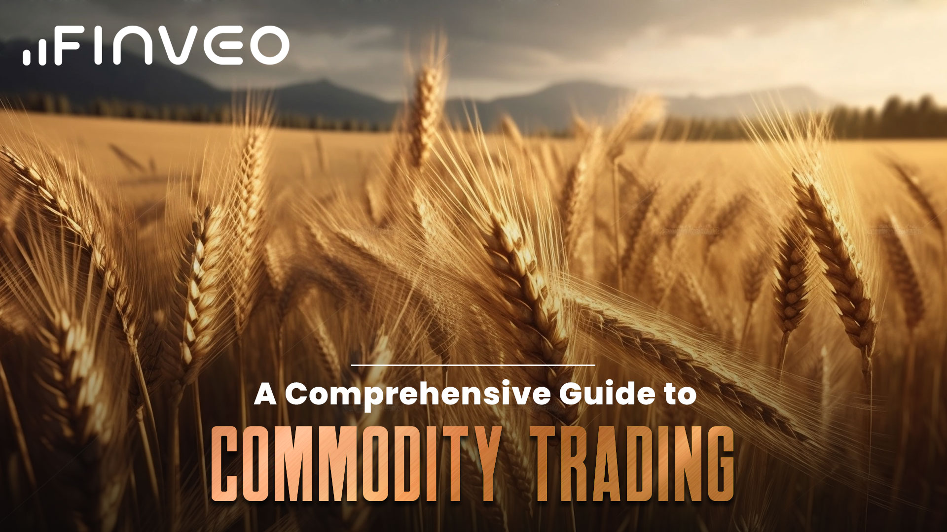 Trading Agricultural Commodities with CFDs: A Comprehensive Guide to Corn, Wheat, Soybeans, and More