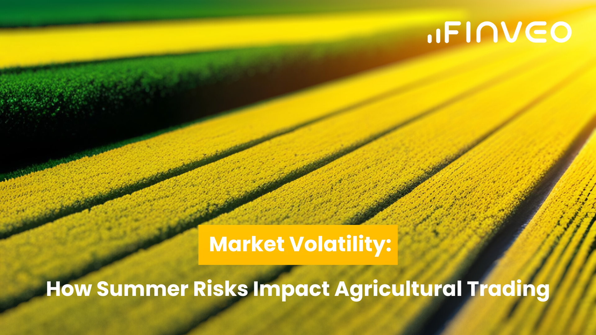 Market Volatility: How Summer Risks Impact Agricultural Trading