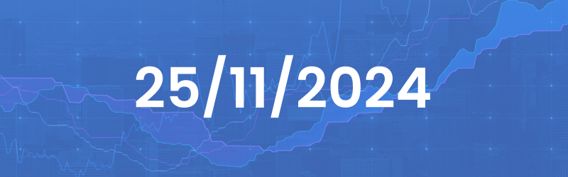 Daily Analysis 25/11/2024